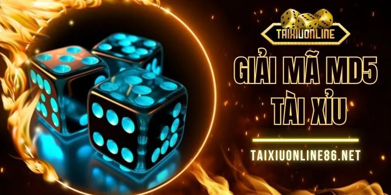 Giải Mã MD5 Tài Xỉu - Hé Lộ Bí Mật Thắng Lớn Ít Ai Biết