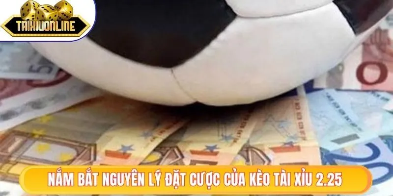 Kèo Tài Xỉu 2.25 - Nắm Bắt Từ A Tới Z Thỏa Sức Giải Trí 1 Nắm bắt nguyên lý đặt cược của kèo tài xỉu 2.25