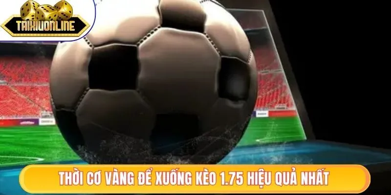 Kèo Tài Xỉu 1.75 - Giải Đáp Cách Chơi Cụ Thể Cho Tân Thủ 2 Thời cơ vàng để xuống kèo 1.75 hiệu quả nhất